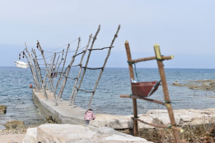 Le grue di Umago entrano nel patrimonio culturale immateriale