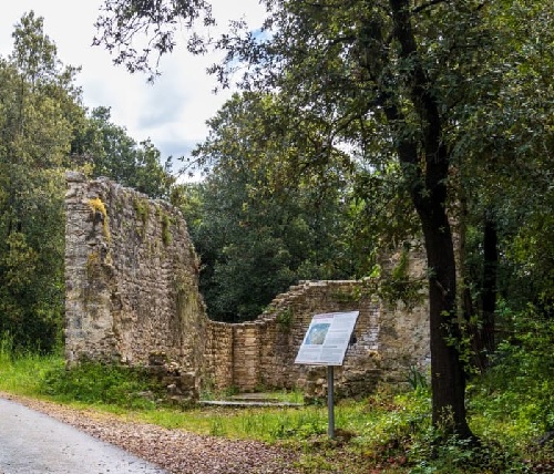 La chiesa di San Bartolomeo a Rovigno